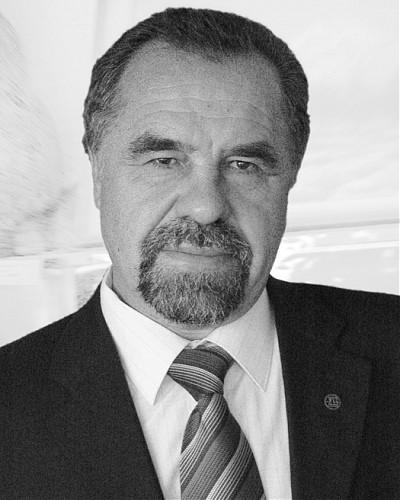 Vladimir A. Sankov